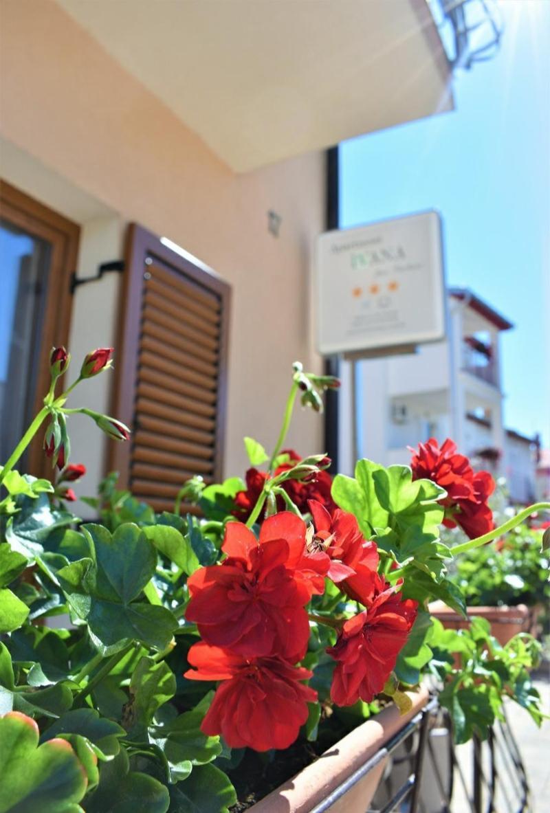 Apartments & Rooms Ivana Rovinj Habitación foto